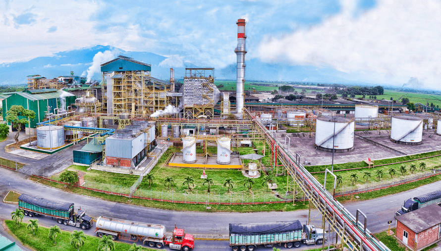 INGENIO DEL CAUCA - Nos estamos transformando